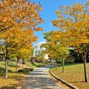 국제자매도시공원 이미지