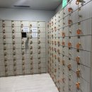 구리시 멀티스포츠센터 수영장 | [자유수영] 구리시멀티스포츠센터 수영장 25m, 50m, 오리발