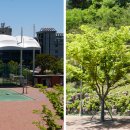 대청(계동)공원 이미지