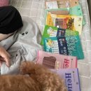 폴리파크 동해점 네이버블로그