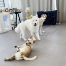 장산농장 | 실마리는 결국 풀린다