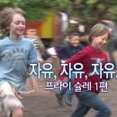 힐링팍스