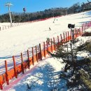 에스앤에스 | 꽁꽁 얼어붙은 겨울, 짜릿함으로 녹여줄 완벽한 준비! 비발디파크 보드 렌탈 에스앤에스 솔직 후기예요!