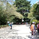 부산어린이대공원 이미지