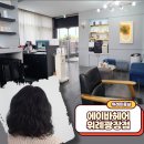 송례중학교 | 위례미용실 에이바헤어 위례광장점 웨이브펌 채원 원장님과 함께