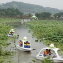 회산백련지 이미지