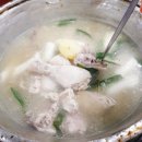 오리떼닭한마리 이미지