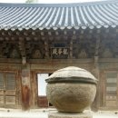 선경지물 | 양산 통도사 소나무 숲길을 학과 함께 거닐다