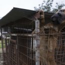 김성광 농장 이미지