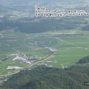 사과꽃향기 이미지