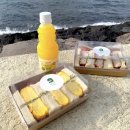 제주 산도위치 솔직 후기!제주도 혼자 여행, 혼밥 추천. (제주 피크닉 꿀팁)