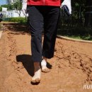 뚝섬한강공원-16 이미지