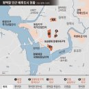 연세삼성부동산중개사무소 이미지