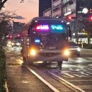 동아아파트앞 정류장 이미지