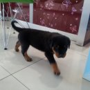 카리스마안경원 이미지