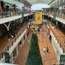 MOVE UP | 시드니 DFO 홈부쉬 vs 버켄헤드포인트 아울렛 가격 비교 쇼핑리스트