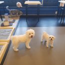 배곧유치원 이미지