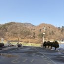 횡성 숙소 추천! 캠프이노베이션 착한횡성한우 족구장, 노래방, 바베큐 가능한 만능 숙소