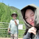 진산자연휴양림캠핑장 | 대전 힐링 명소 장태산 자연휴양림 캠핑장 이용 후기
