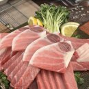 키다리김밥 | [키다리참치초밥] 수유역 참치코스 잘 나오는 곳! 내돈내산 후기