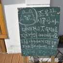 니나노 제주 이미지