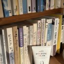 서현개발(주) - 3073 | 람스 팔뚝 3개월 비교 후기 (병원정보, 효과, 비용)