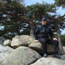 남목초교 이미지