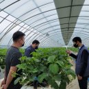 충주시농업기술센터 이미지