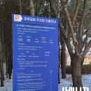 오시드 디자인 이미지