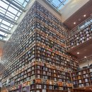 별내도서관 지상3층 | 송도국제도서관 방문 후기 이제 대출도 가능! 집중하기 좋은 곳