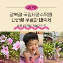 나라꽃 무궁화 명품길 | 광복 80주년 8.15 광복절 아기랑 국립세종수목원 나라꽃 무궁화 대축제 후기