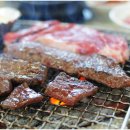 라오니아 이미지