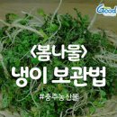 냉이무침 만드는법 봄나물 냉이 손질법 보관법 맛있게 무치는 냉이 고추장무침 이미지