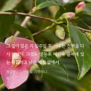 일등여인숙 네이버블로그