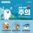 비피 이미지