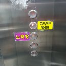 냐옹냐옹고양이카페 이미지