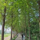 금성동 게이트볼 공중화장실(3) | 공주 여행지 메타세콰이어길 쌍신집칼국수 춘소커피 공산성 힐링스폿 태화식당