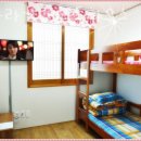 제주게스트하우스봄꽃 이미지