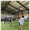 주식회사 크라우드아카데미 네이버블로그