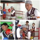 권투 이미지
