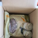 라이코 바이탈 코리아 이미지