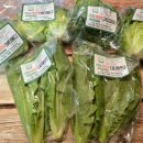 둥구머리협동조합 이미지