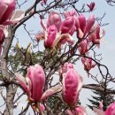 성주카병원 이미지