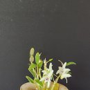 홍일농장 이미지