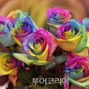 꽃세계
