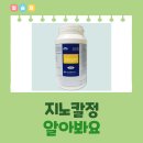 침강정 이미지