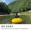 흥정리 | 서울근교 당일치기 물놀이 평창 흥정계곡 주차 평상대여