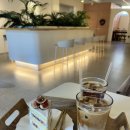 사파동151 이미지