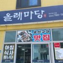 올레계절맛집 | [제주] 서귀포시 모듬 생선구이 산방산 로컬 맛집 ‘올레마당’ 내돈내산 간단 후기