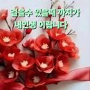 ♤상호작용과 반작용의 법칙♧ 이미지
